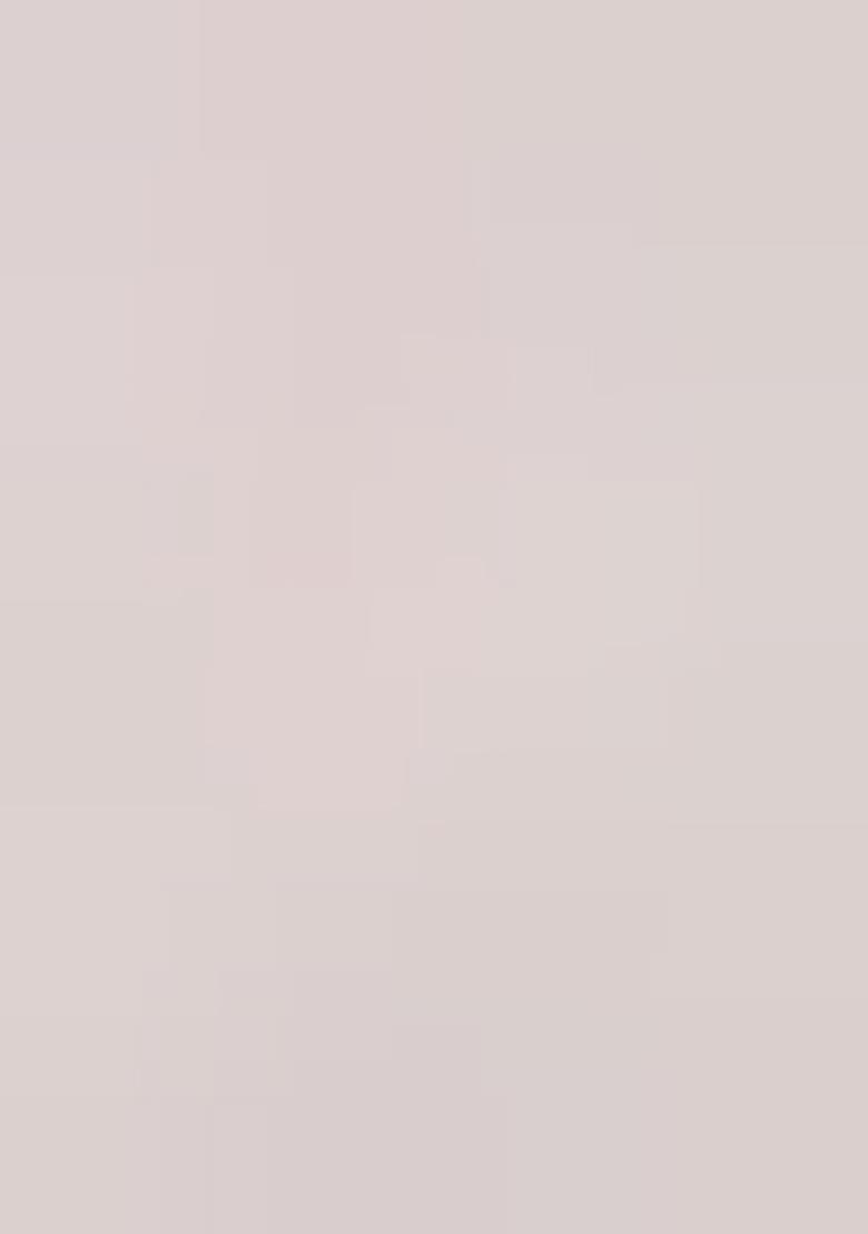 Dusty Peach Embroidery Net Saree Set - Indya