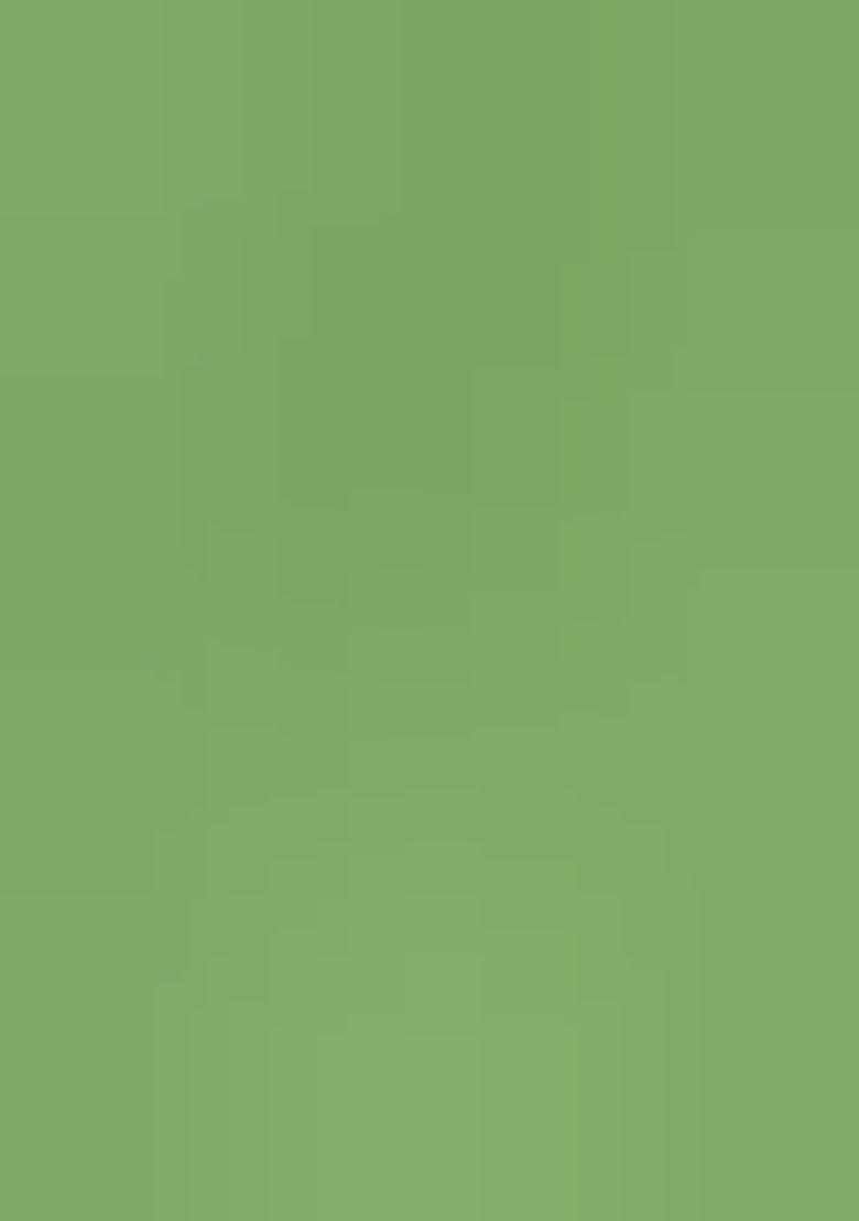 Pista Embroidery Net Saree Set - Indya