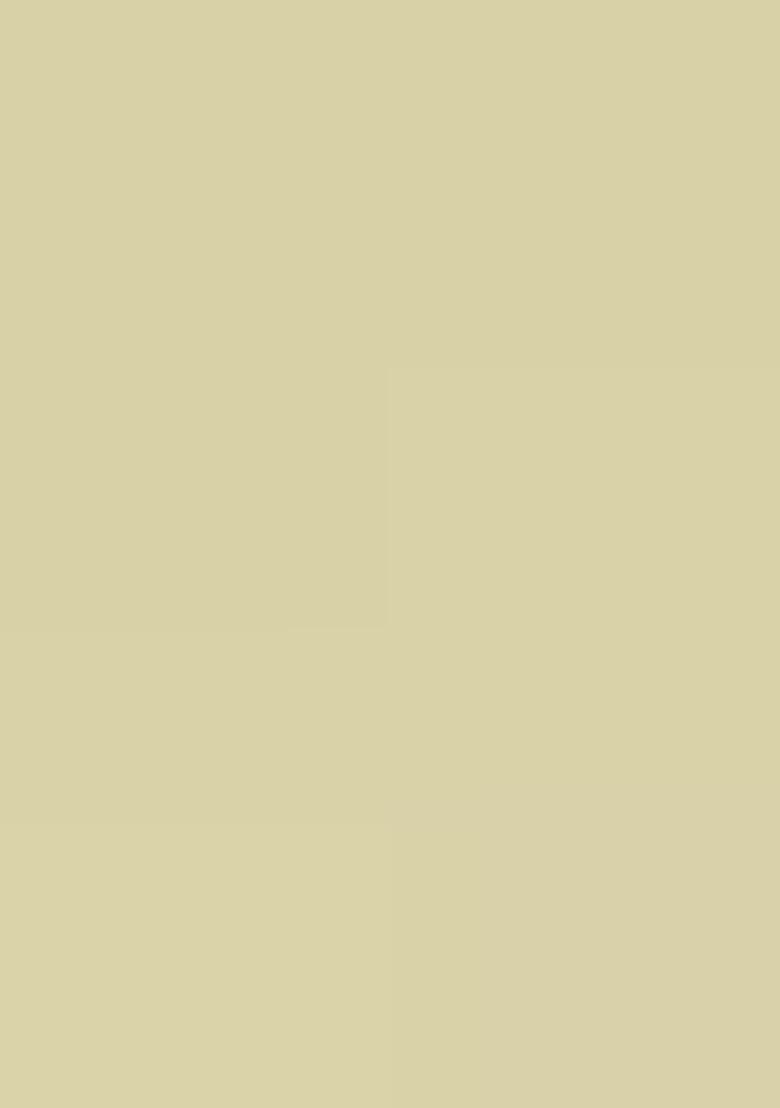 Chiku Embroidery Georgette Saree - Indya