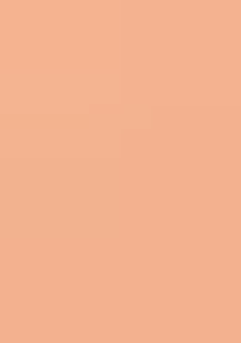 Dusty Peach Embroidery NET Saree - Indya