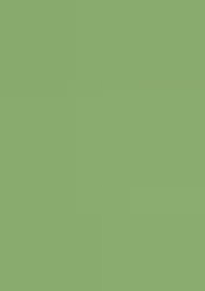 Pista Jacquard Work Linen Saree Set - Indya