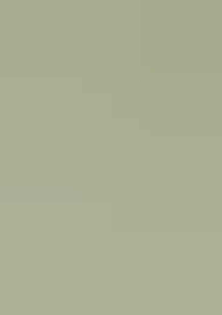 Pista Jacquard Work Silk Saree Set - Indya