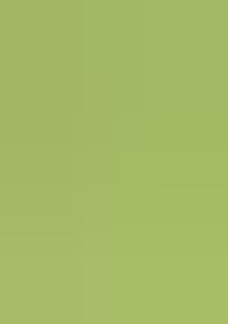 Pista Jacquard Work Silk Saree Set - Indya