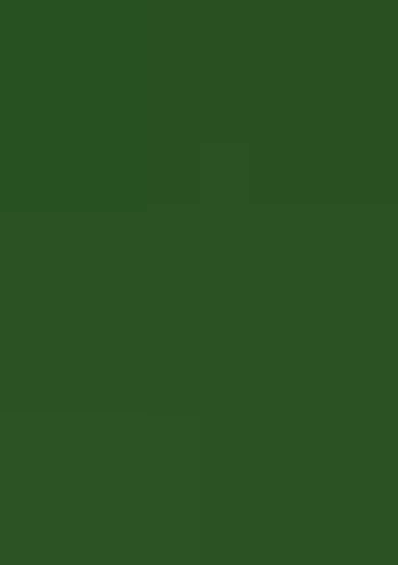 Dark Green Zari Work Silk Blend Saree Set - Indya