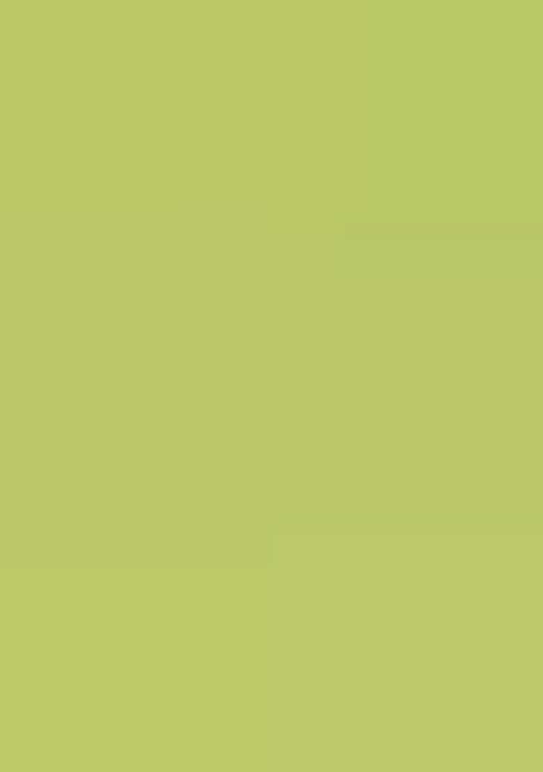 Light Green Floral Print Pochampally Saree Set - Indya
