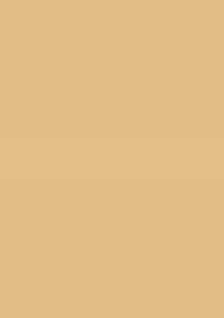 Beige Zari Work Silk Blend Saree Set - Indya