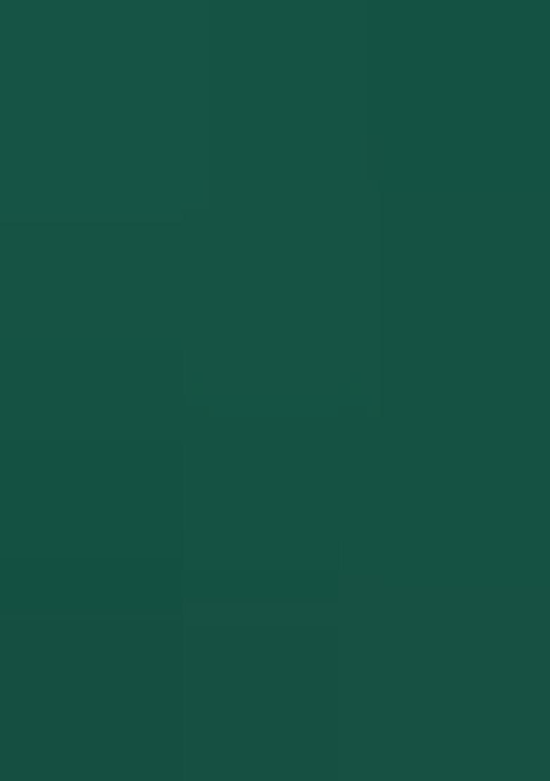 Green Embroidery Silk Saree Set - Indya