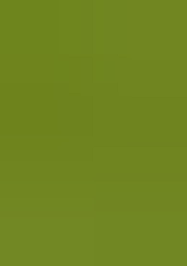 Green Embroidery Silk Saree Set - Indya