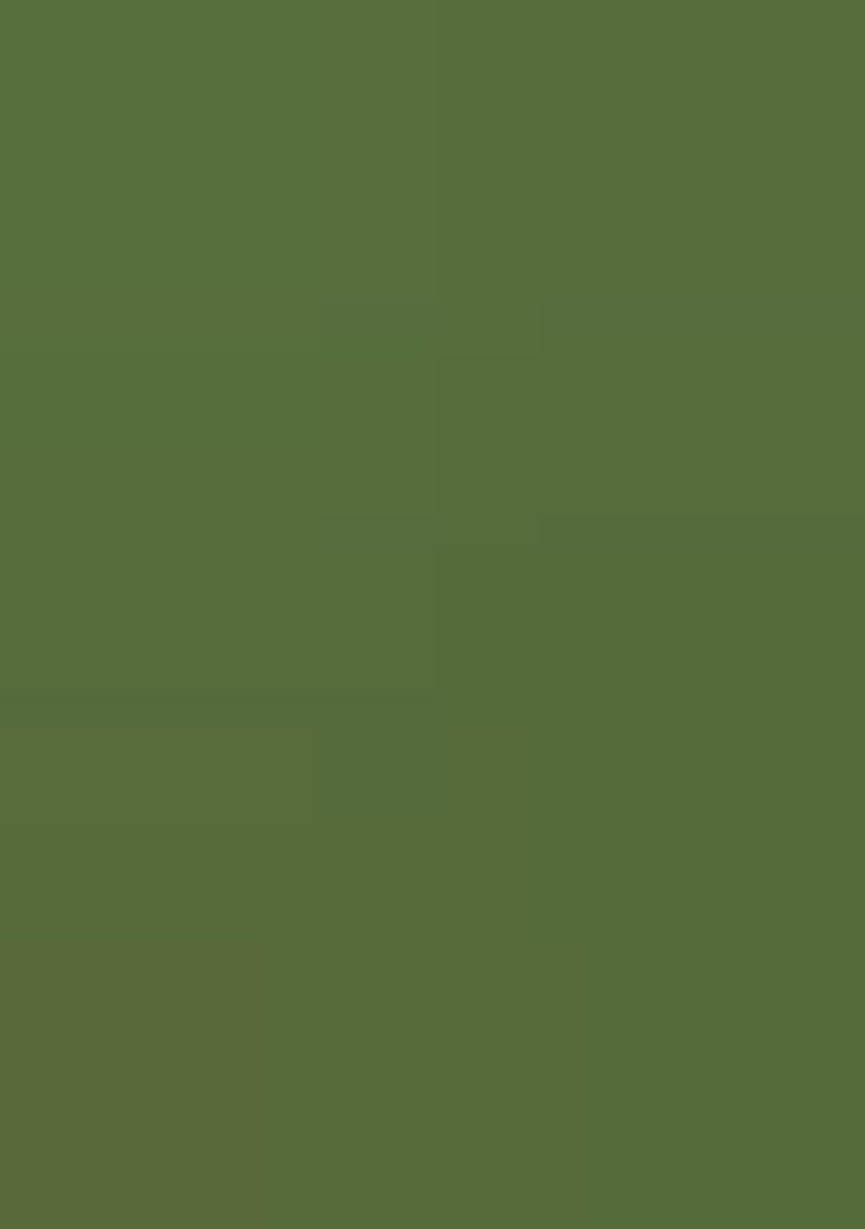 Mehendi Woven Silk Saree Set - Indya