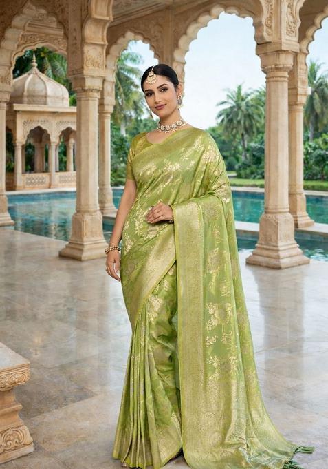 Olive Zari Work Crepe Saree Set