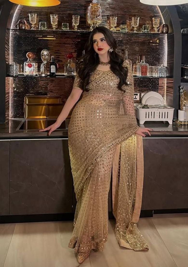 Golden Embroidery Net Saree Set - Indya