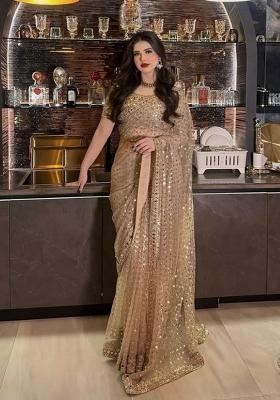 Golden Embroidery Net Saree Set