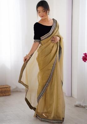 Chikoo Zari Work Net Saree Set