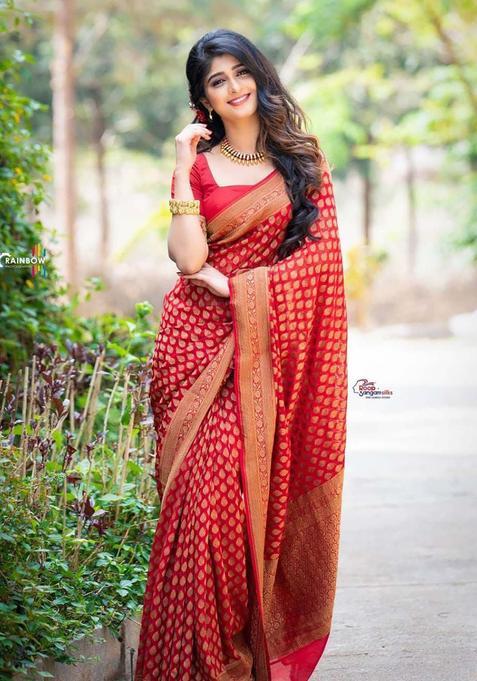 Red Woven Silk Saree Set