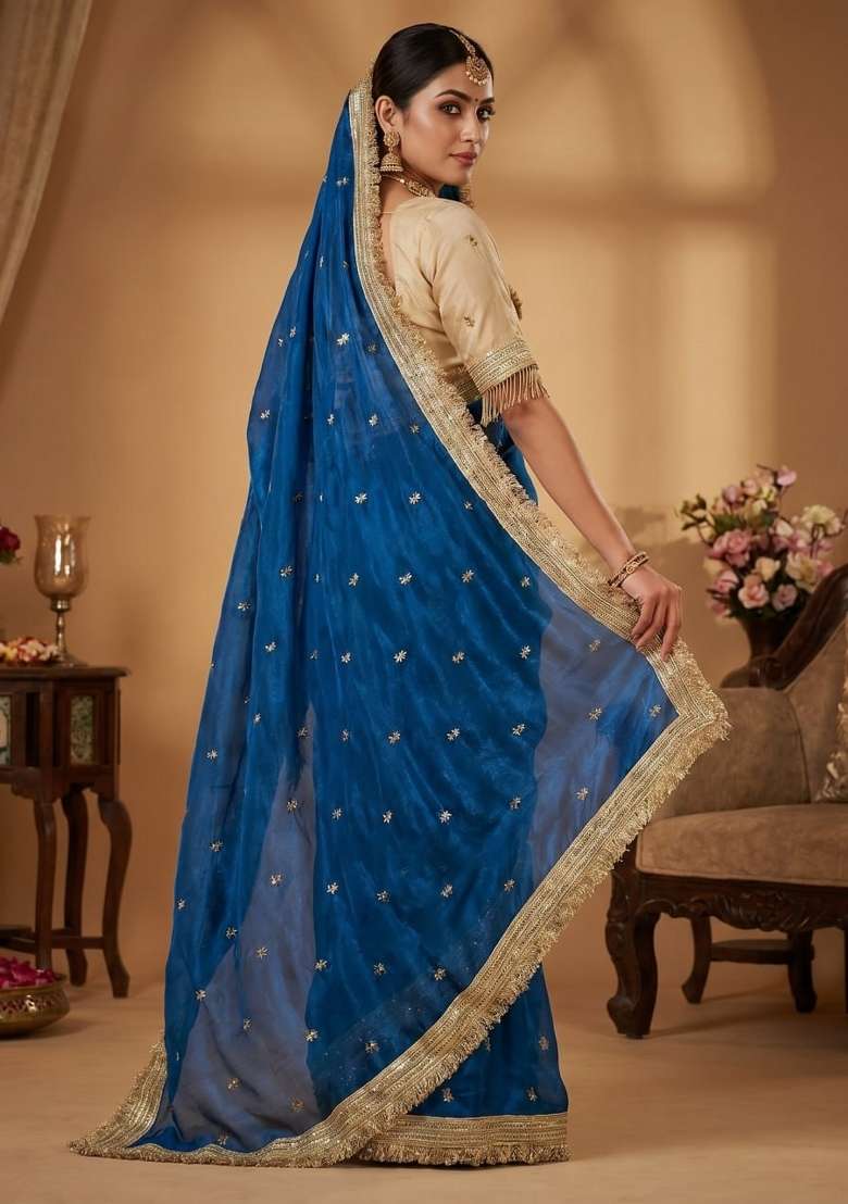 Blue Sequin Work Fandi Saree Set - Indya