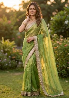 Parrot Sequin Work Fandi Saree Set