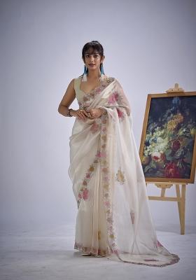Chiku Hand Work Organza Saree Set