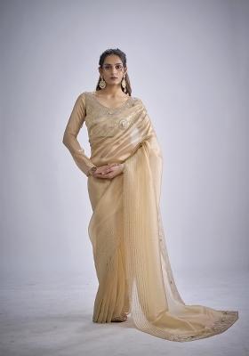 Chiku Hand Work Silk Blend Saree Set