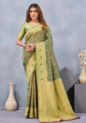 Green Printed Pashmina Saree Set