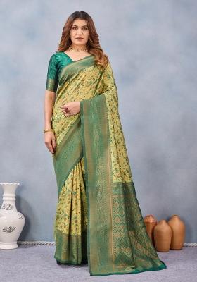 Parrot Green Printed Pashmina Saree Set