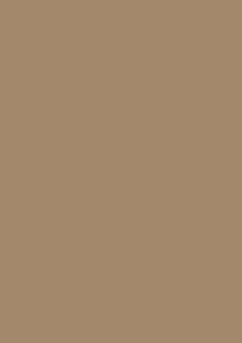 Beige Zari Weaving Silk Saree Set - Indya