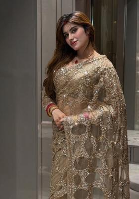 Golden Embroidered Net Saree Set