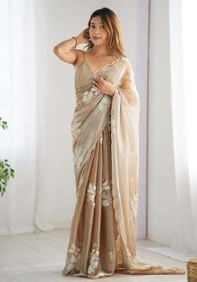 Chiku Embroidered Organza Saree Set for Diwali and Festive Wear