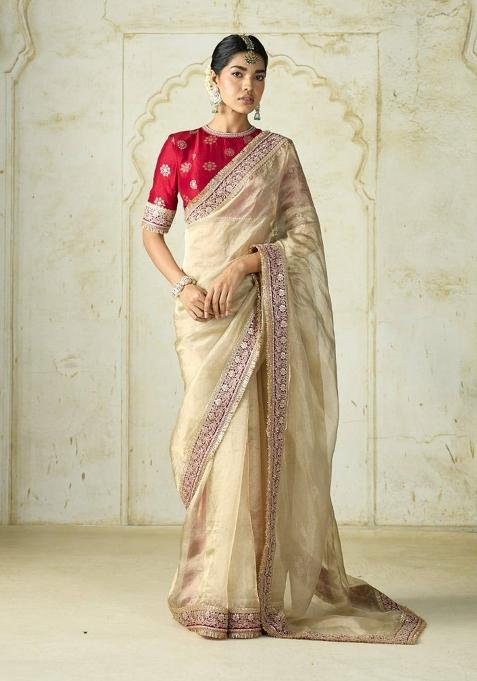 Beige Embroidered Net Saree Set