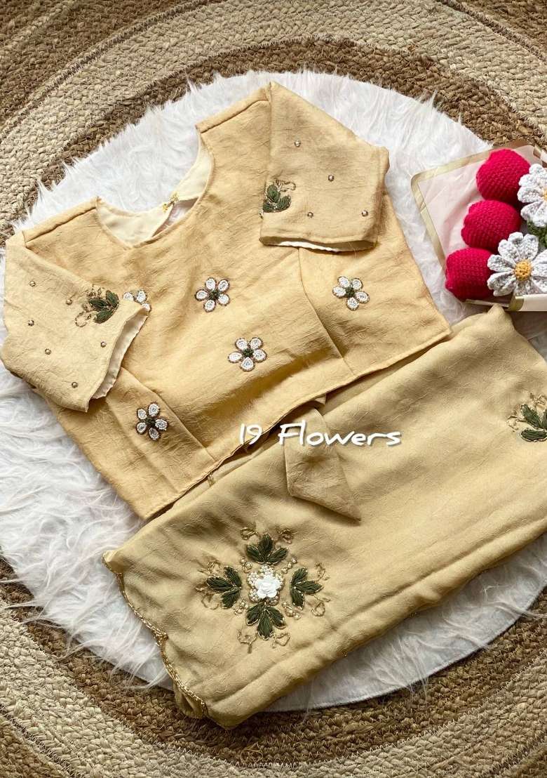 Cream Embroidered Chiffon Saree Set - Indya