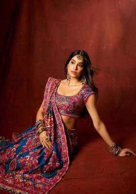 Blue Embroidered Chinon Saree Set