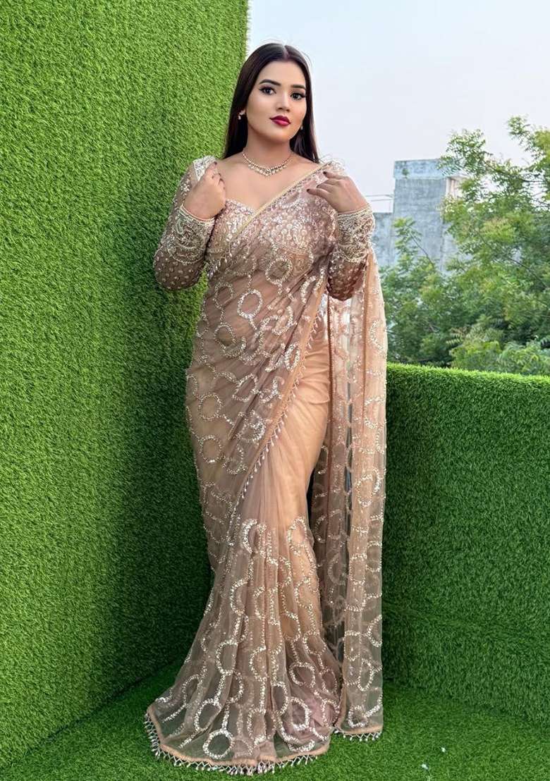 Pale Gold Embroidered Net Saree Set - Indya