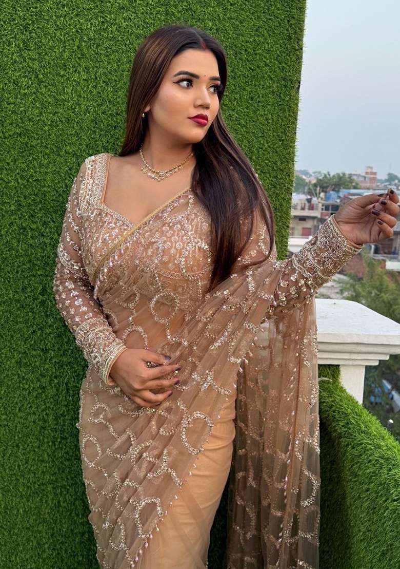 Pale Gold Embroidered Net Saree Set - Indya