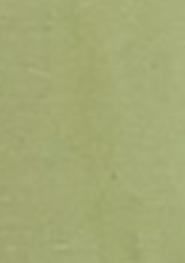 Green Floral Print Viscose Kurta