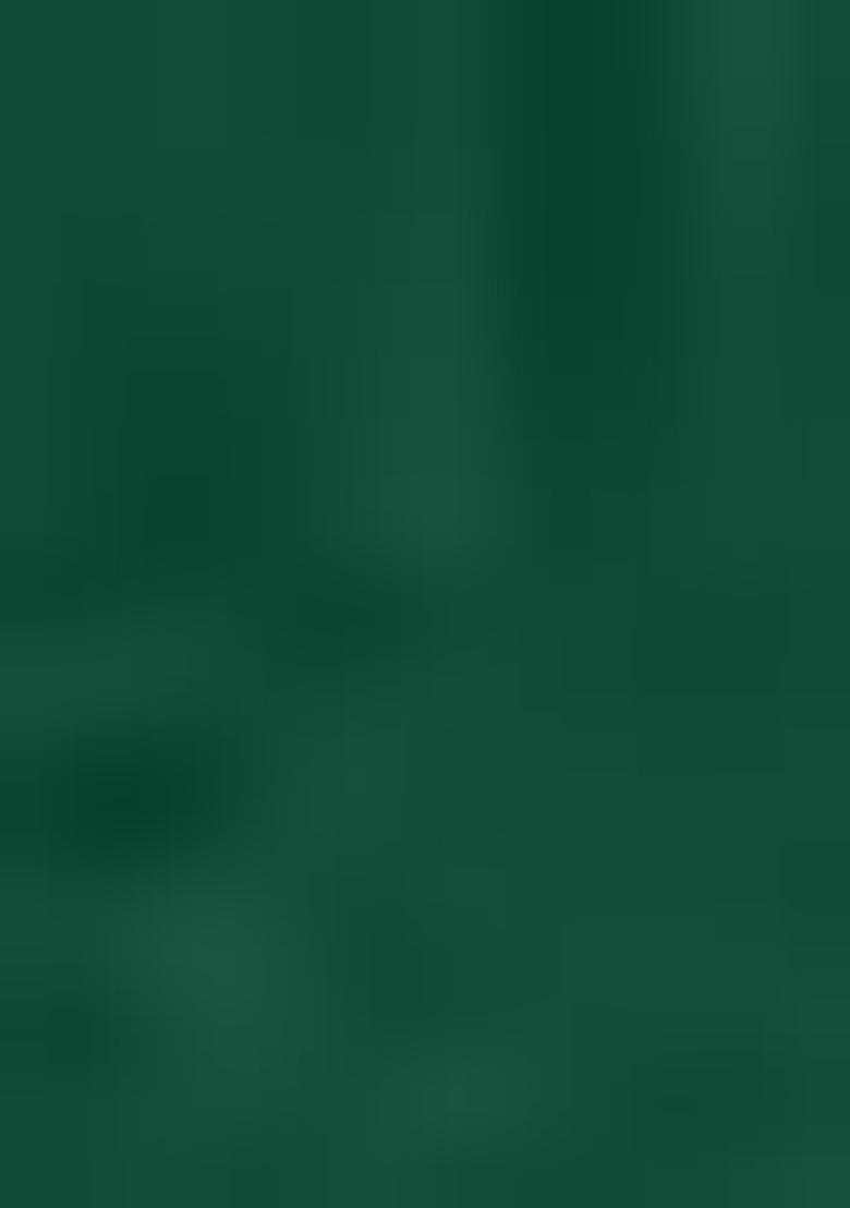 Green Plain Rayon Anarkali Kurti