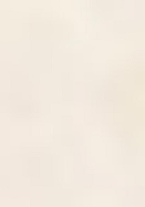 Pista Green Sequins Polyster Kurta For Men