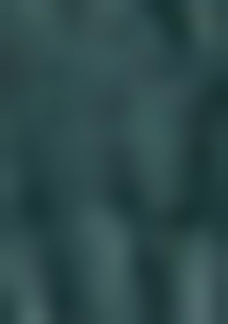 Green Embroidererd Georgette Kurti