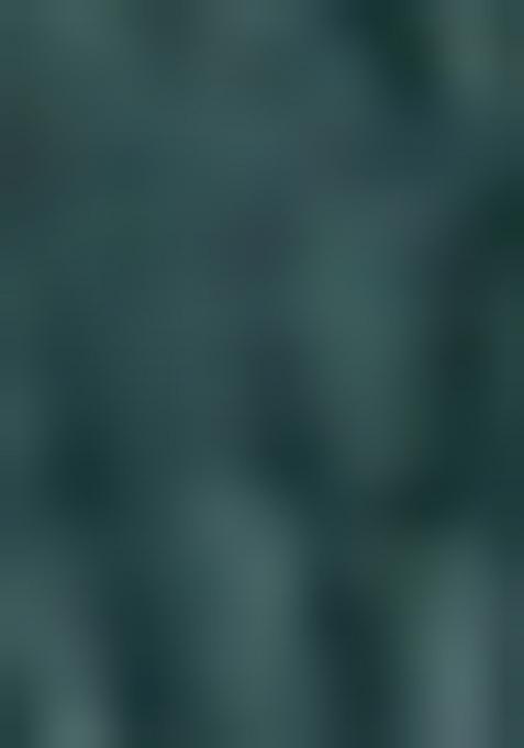 Green Embroidererd Georgette Kurti