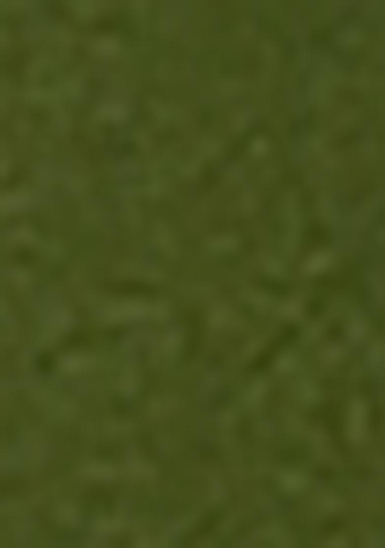 Mehendi Green Embroidererd Georgette Kurti