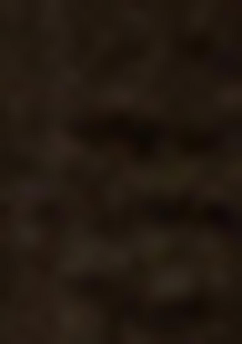 Black Embroidererd Ribbed Kurti