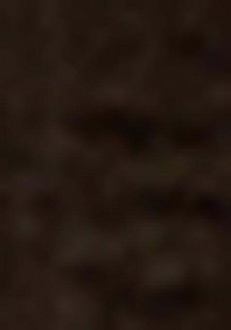 Black Embroidererd Ribbed Kurti