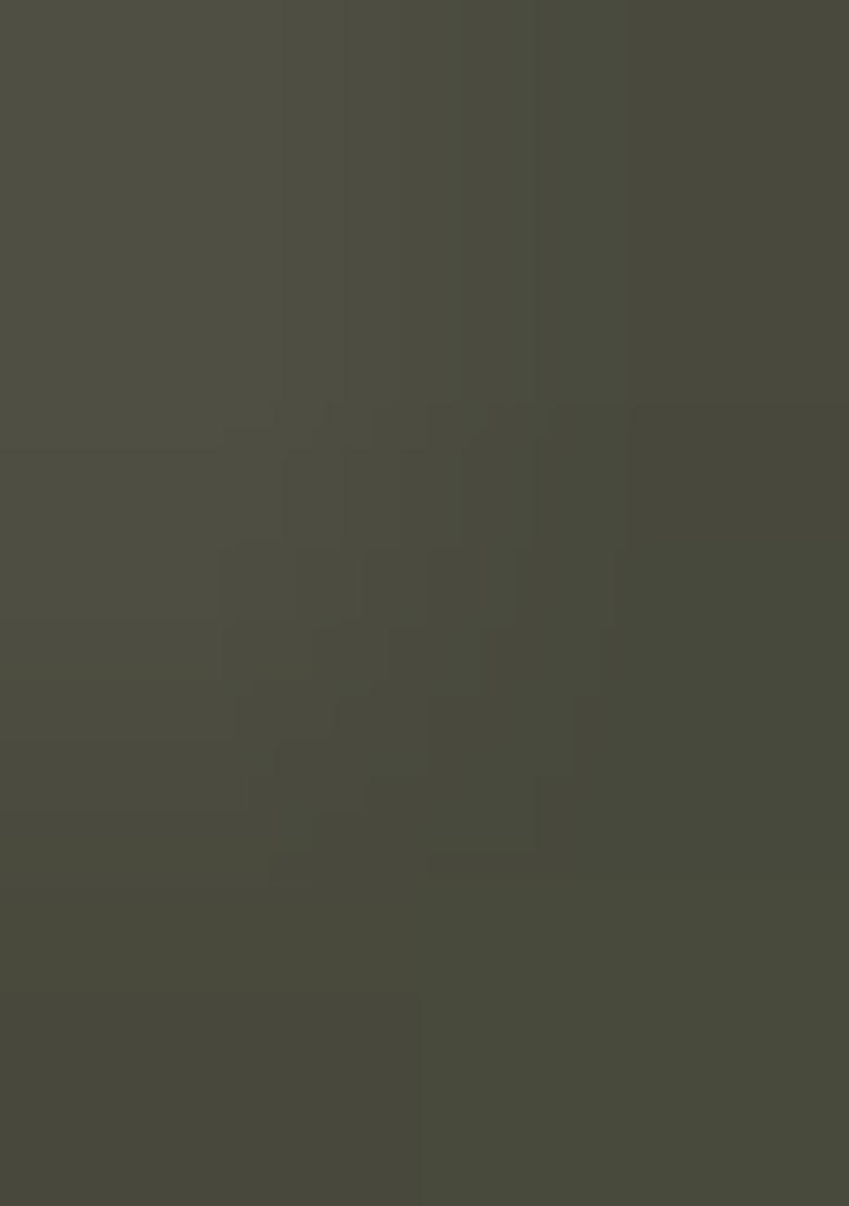 Green Embroidery Silk Kurti - Indya