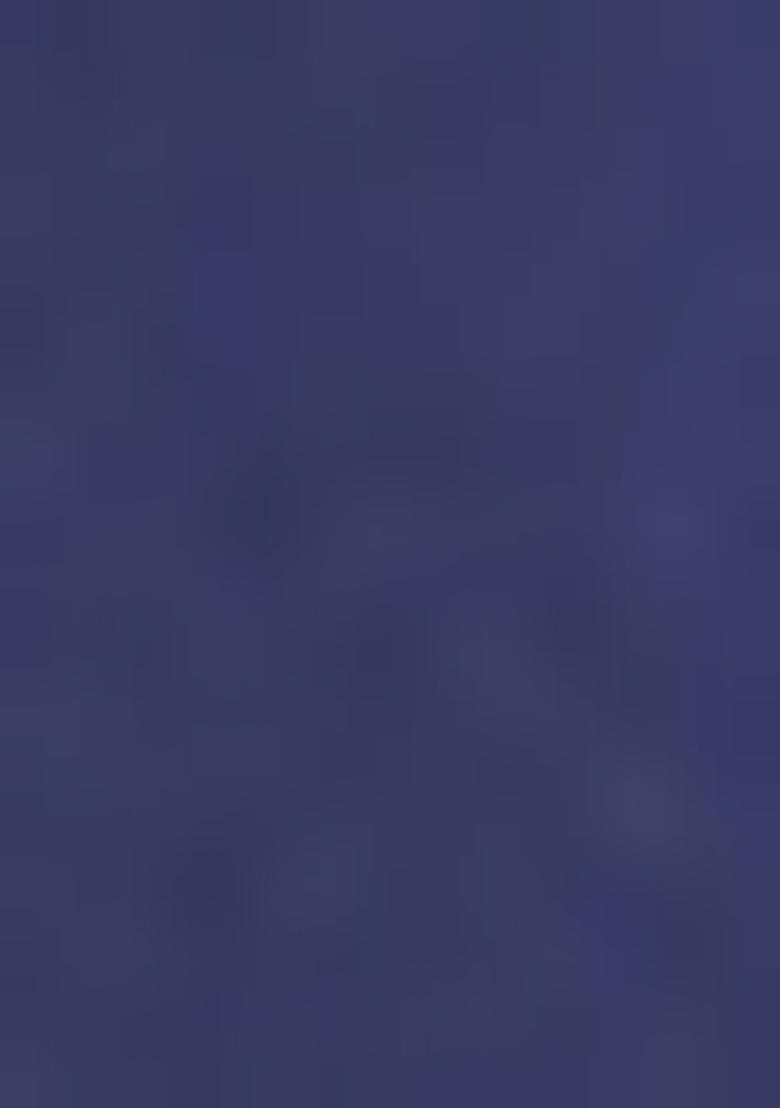 Blue embroidered Rayon Tops