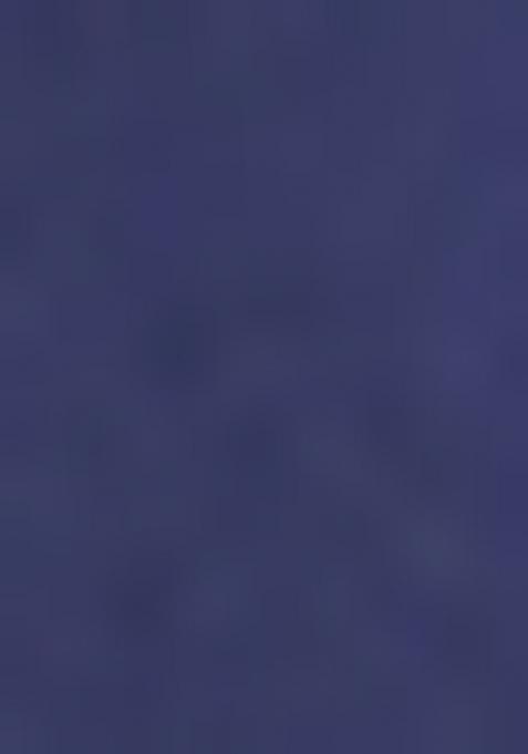 Blue embroidered Rayon Tops