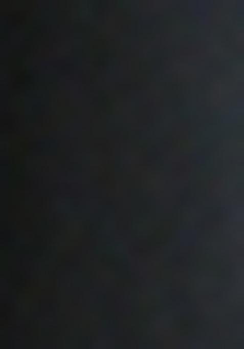 Black embroidered Rayon Tops