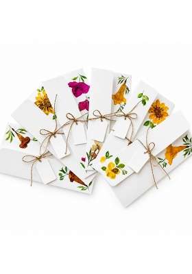 Petals by Shweta Pressed Flower Shagun Envelopes 7 Point 25 3 Point 45 Inches Premium Quality Money Pack of 6