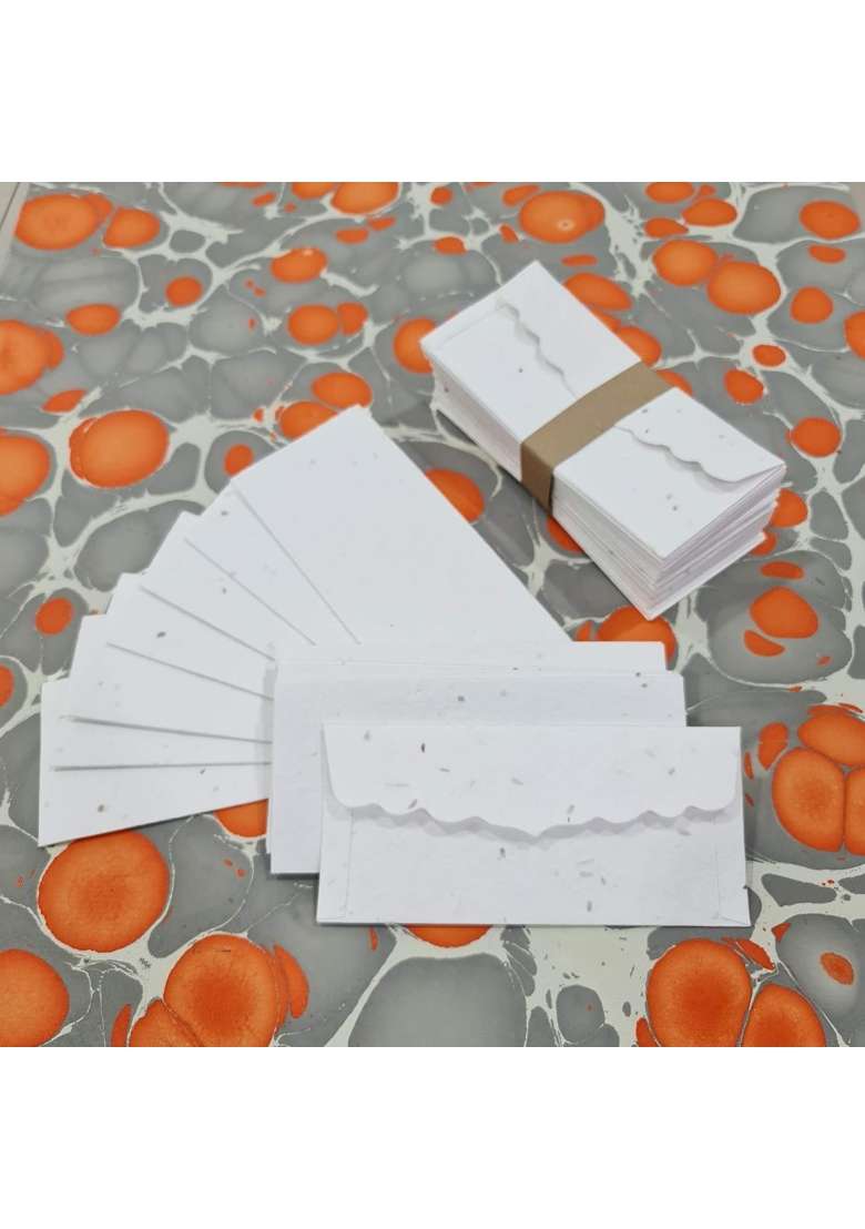 Devraaj ECO Friendly Plantable SEED Paper Money Envelopes Without Print Set of 25 - Indya