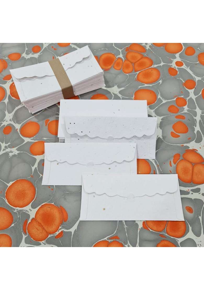 Devraaj ECO Friendly Plantable SEED Paper Money Envelopes Without Print Set of 25 - Indya