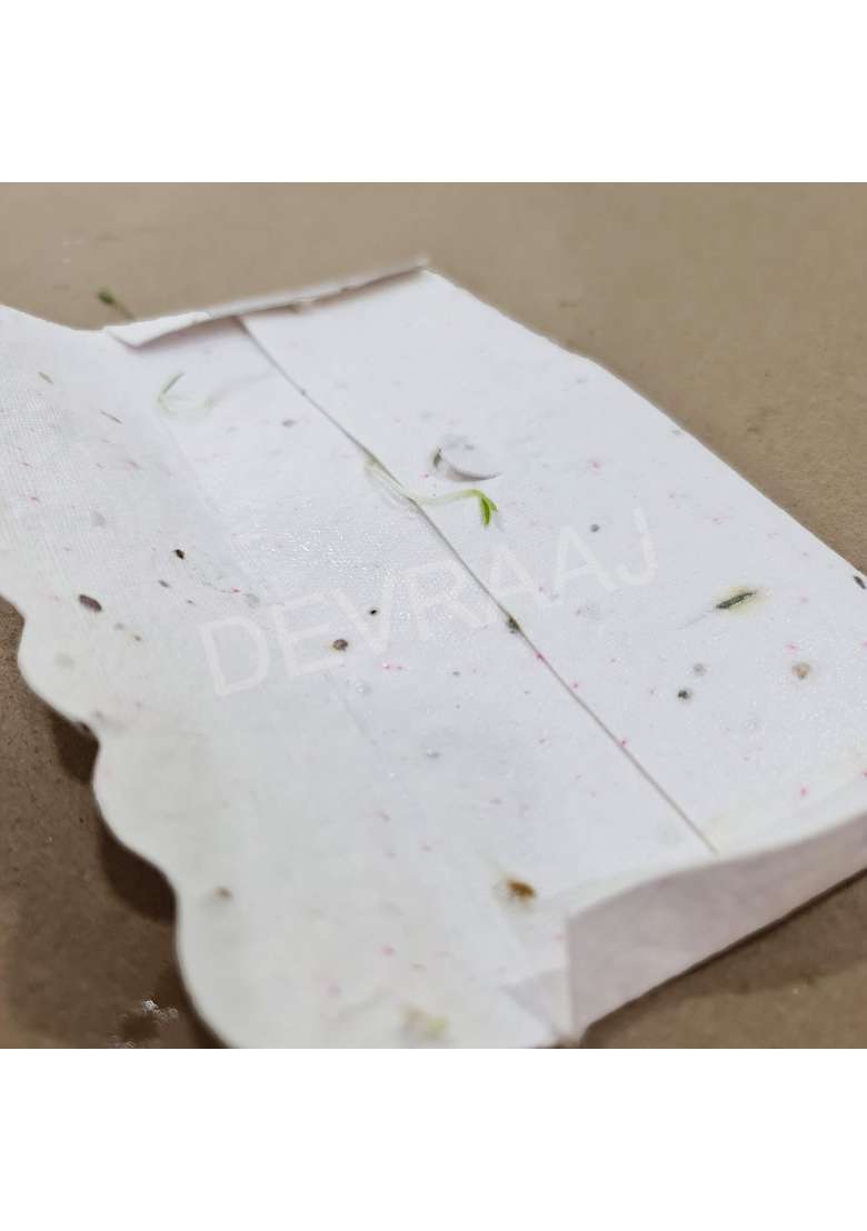 Devraaj ECO Friendly Plantable SEED Paper Money Envelopes Without Print Set of 25 - Indya