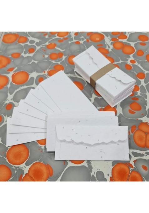Devraaj ECO Friendly Plantable SEED Paper Money Envelopes Without Print Set of 25
