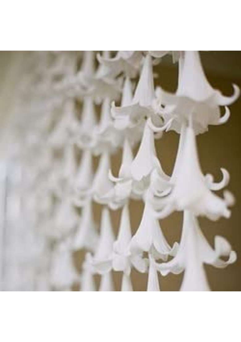 Shreya Fashion White Artficial Rajnigandha Lilly Flowers Decoration Home Pack of 20 - Indya